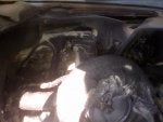 IMG-20130422-00044.jpg